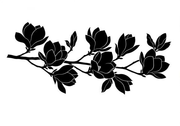 Black Magnolia Branch Outlines: Premium Graphics & Illustrations