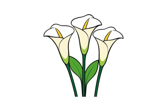 Calla Lily Flowers Clipart PNG Review for Embroidery