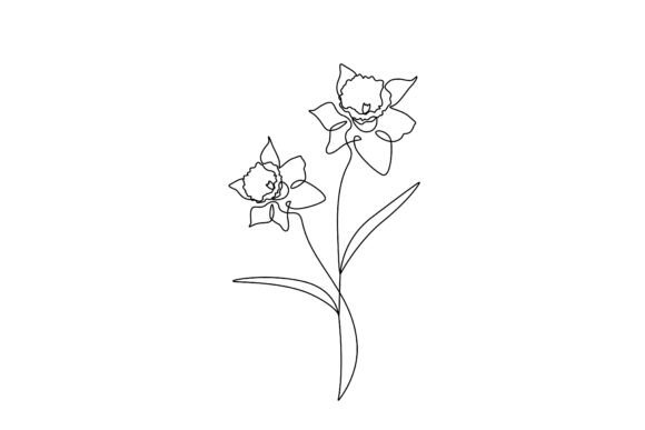 Daffodil Flowers Line Art: Graphics & Illustrations Review