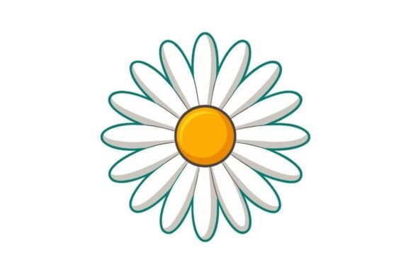 Daisy Flowers Clipart PNG: Graphics & Illustrations