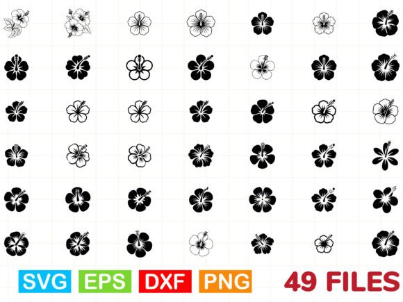 Hibiscus Flowers Svg: Premium Graphics & Illustrations