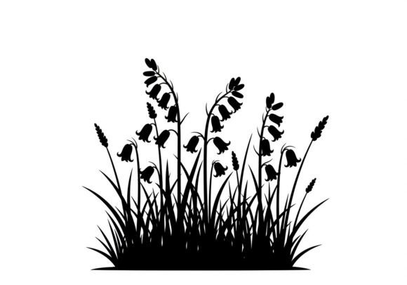 Lily Flower Graphics: Elegant Illustrations for Crafters