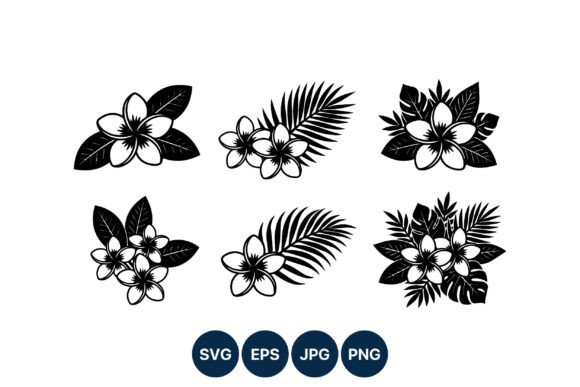 Plumeria Graphics & Illustrations for Branding