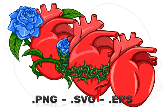 Realistic Heart with Roses: Graphics & Illustrations