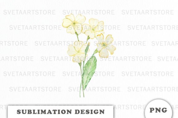 Watercolor Primrose Bouquet: Premium Graphics & Illustrations